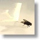 Fly Powered Airplane Kit